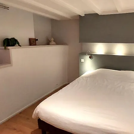 Apartman De Charme, Multi-niveaux - Jardin Public *