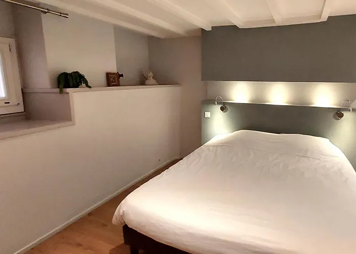 Apartman De Charme, Multi-niveaux - Jardin Public *